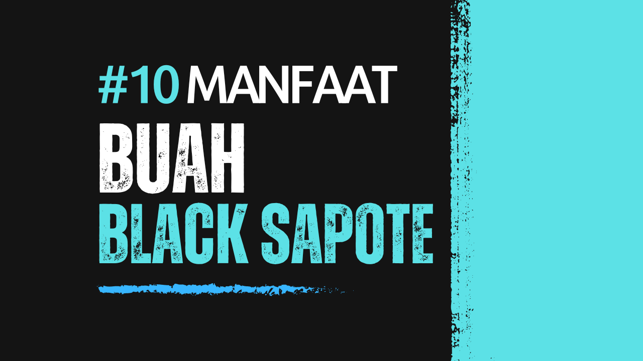 10 Manfaat Buah Black Sapote Untuk Kesehatan